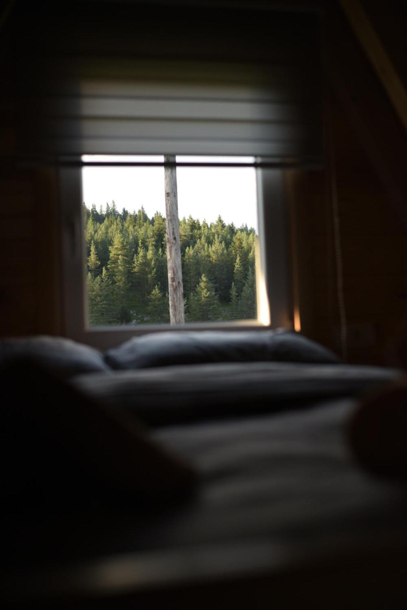 Mountain Paradise Cabins Žabljak エクステリア 写真